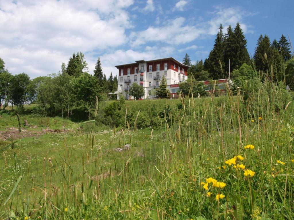 Das Waldhotel - Genuss & Wellness Am Notschreipass Todtnau Esterno foto